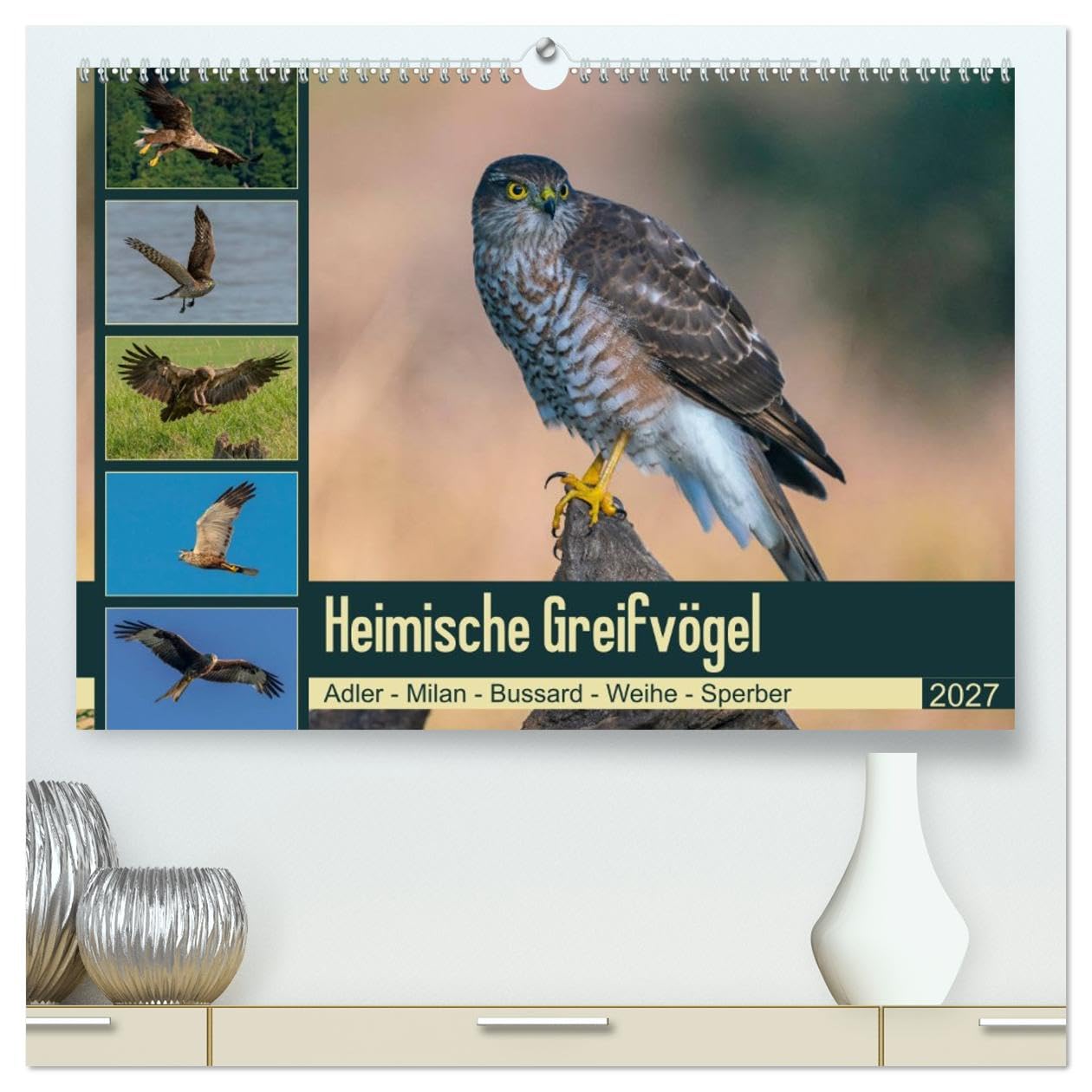 CALVENDO - Heimische GREIFVÖGEL Adler Milan Bussard Weihe Sperber (hochwertiger Premium Wandkalender 2027 DIN A2 quer), Kunstdruck in Hochglanz: Ausgesuchte Aufnahmen aus der Familie der Habichtartige