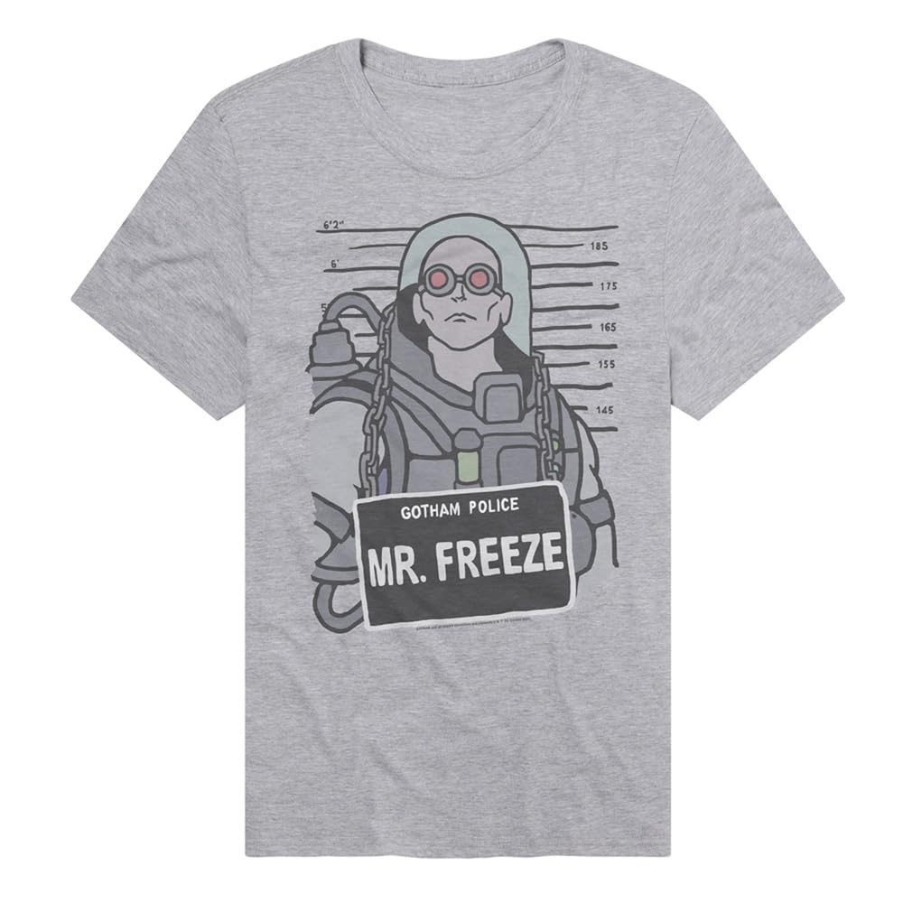 Popfunk Official Batman Rogues Gallery Adult Unisex Classic Ring-Spun T-Shirt Collection