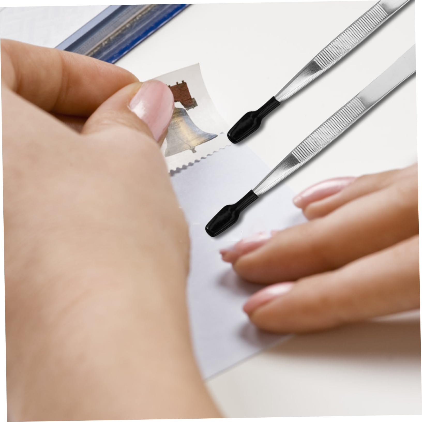 OSALADI 10pezzi Pinzette Inossidabile Per Applicazione Di Falsi Ciglia e Stamps Strumento Versatile Per Hobby e Lavoro Di Precisione Design Ergonomico e Facile Da Trasportare