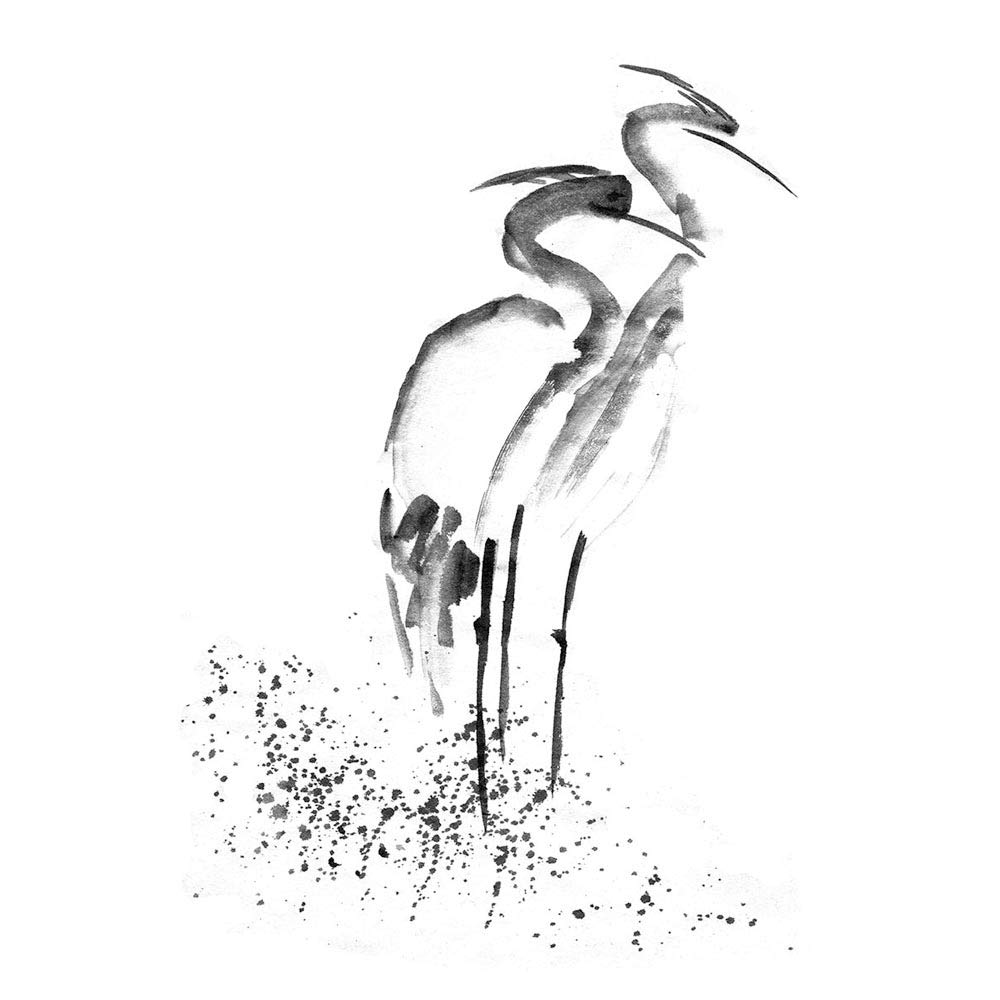 Wee Blue Coo Heron K Drawing Art Print Poster Wall Decor 12X16 Inch