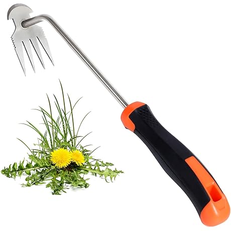 The All-Natural Plant Oil Extractor