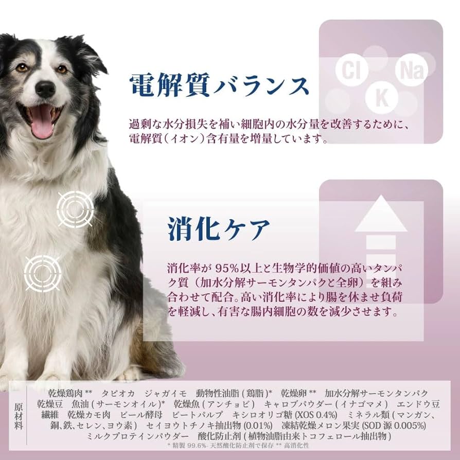 Amazon | VetSolution 犬用 胃腸サポート 800g | Vet Solution