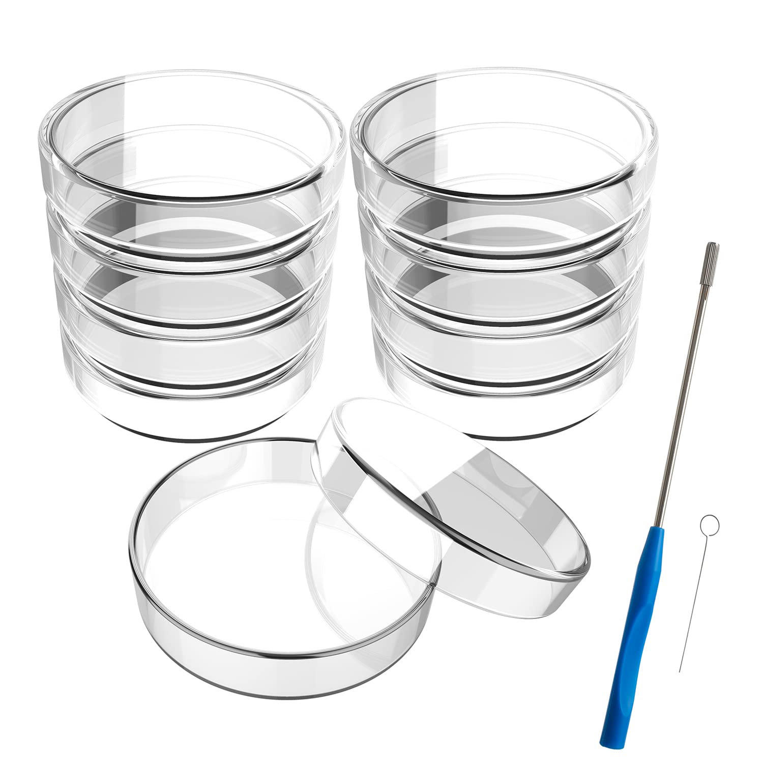 Buy 100 mm Glass Petri Dishes with Lids, 10 Pcs Autoclavable Lab Petri
