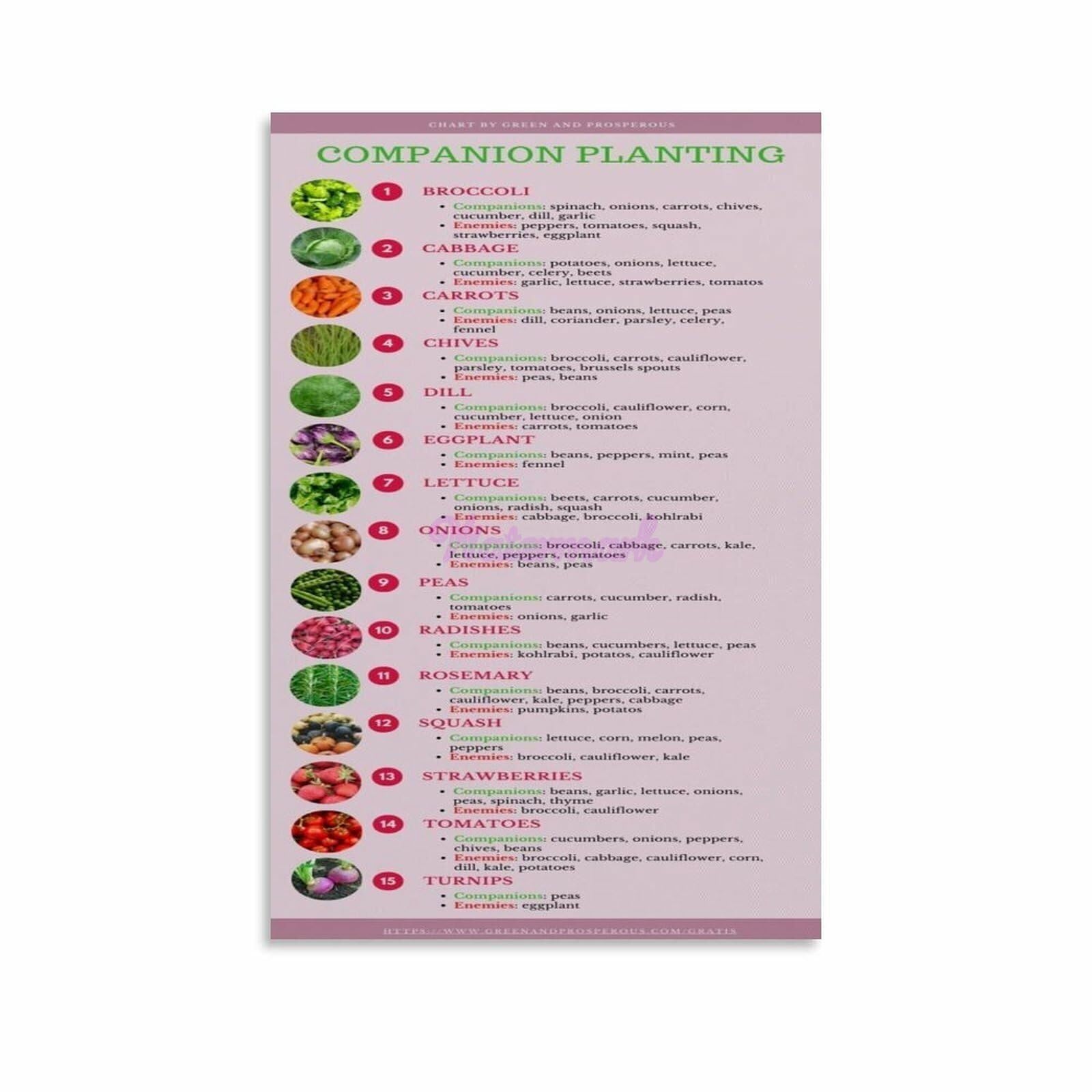 XGINERFEX Vegetable Garden Planning Poster Companion Planting Chart Guide for Greenhouse Garden Shed(Framed,08x12inch(20x30cm))