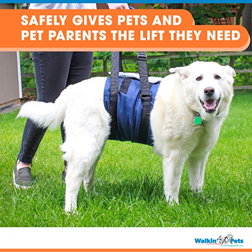 Support Sling Dog Harness For Full Body Support | Prevents Injuries | Helps With Post-Surgical Rehabilitation | Height Adjustable Handles #TOP1