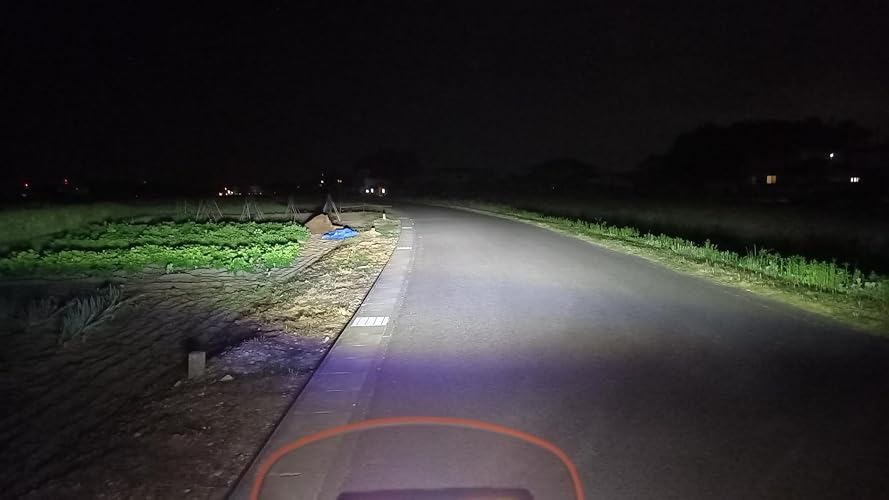 Amazon | PIAA(ピア) バイク用フォグランプ LED 6000K 追加ランプ 径