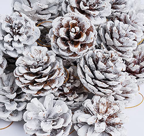 Anstore 42 Tannenzapfen KIeferzapfen in Weiß, 4-6 cm Weihnachten...