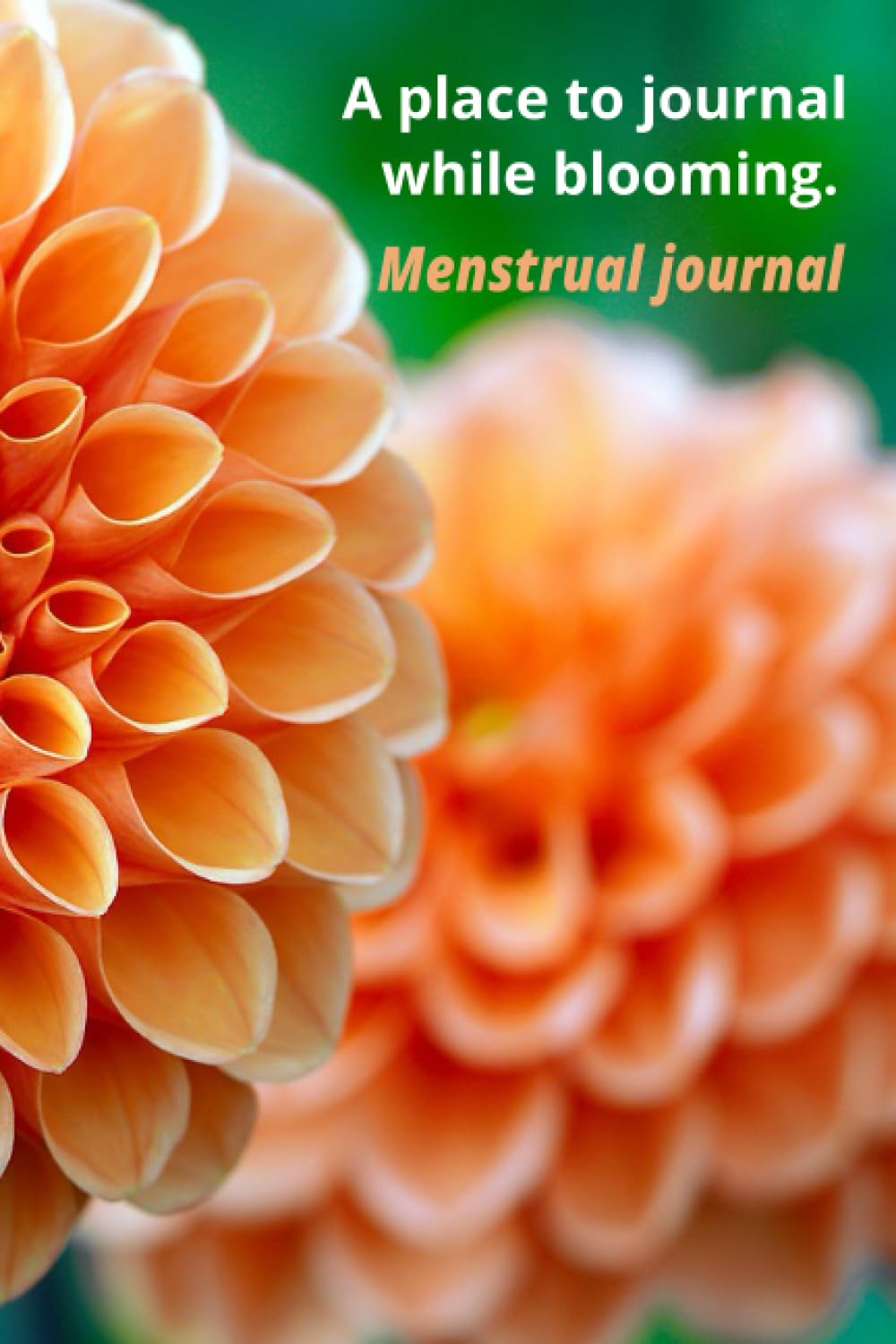 Independently published Menstrual journal