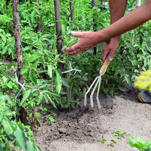 Juego de 2 utensilios de jardinería para plantas miniatura 5