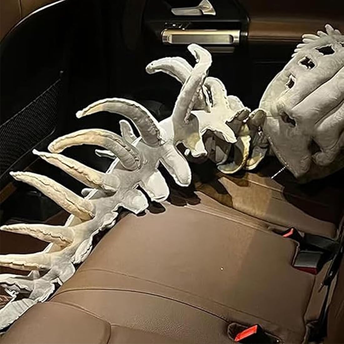 Novità 2027 Scheletro Dinosauro da Indossare 3D Realistico | Morbido costume da dinosauro per Halloween, cosplay, travestimenti, feste e fotografie