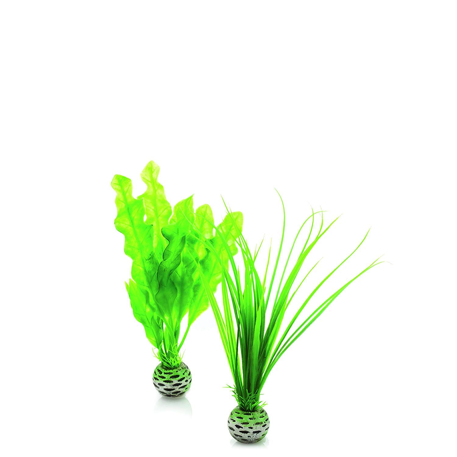 biOrb Easy Plant Pack, Small (Pack of 2)