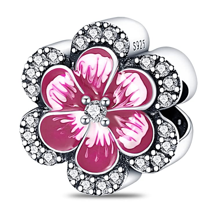 TINSLO Ciondolo Argento Sterling 925 con Cubic Zirconia Pendenti per Pandora Braccialetti, Compatibile con Braccialetti e Collane europei, perfetto Regali per Moglie e Ragazze B3