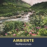  Respiro del Bosque
