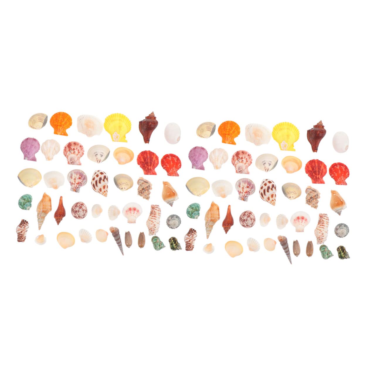 Zerodeko 2 Set Conchiglia Vuoto Substrato Spiaggia Decorazioni per Bomboniere Decorazioni Marine Decorazione di Conchiglie Dell'acquario Materiale di Riempimento del Guscio 160 Pezzi * 2
