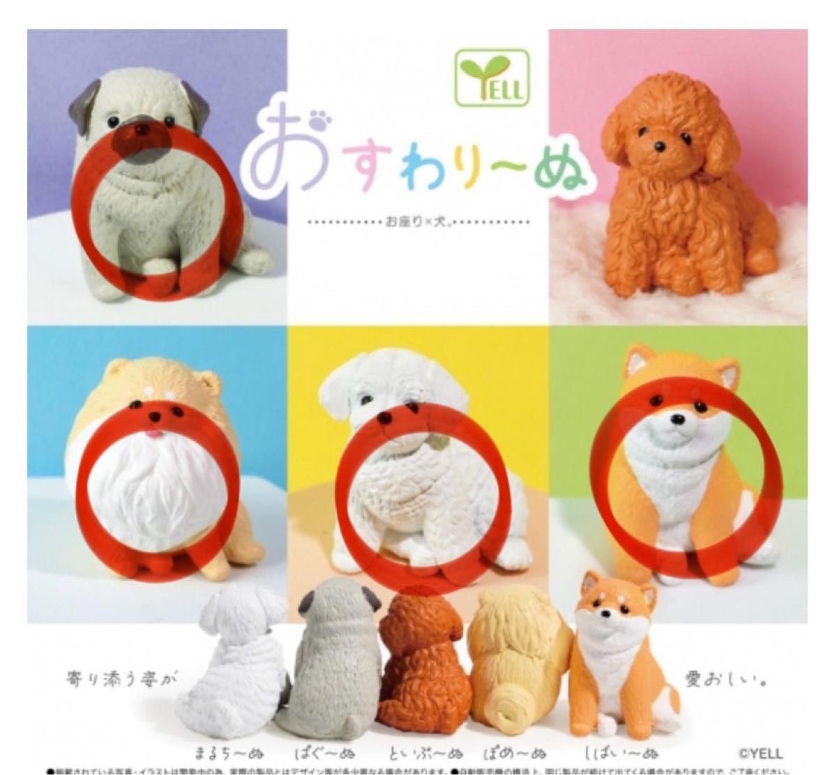 Amazon.co.jp: おすわり～ぬ パグ 柴犬 マルチーズ ポメラニアン ぱぐ