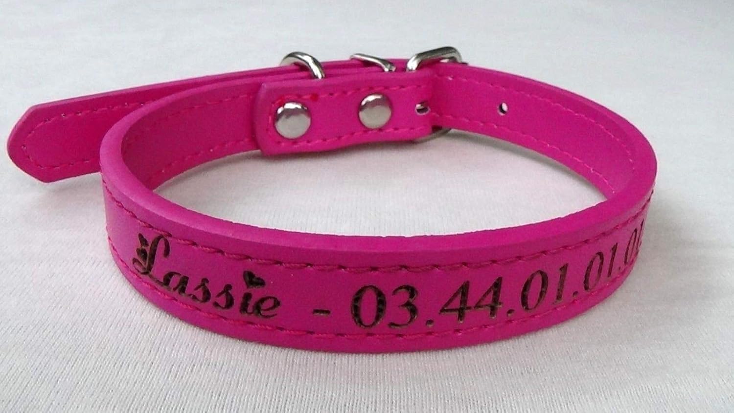 punto laser per gatti