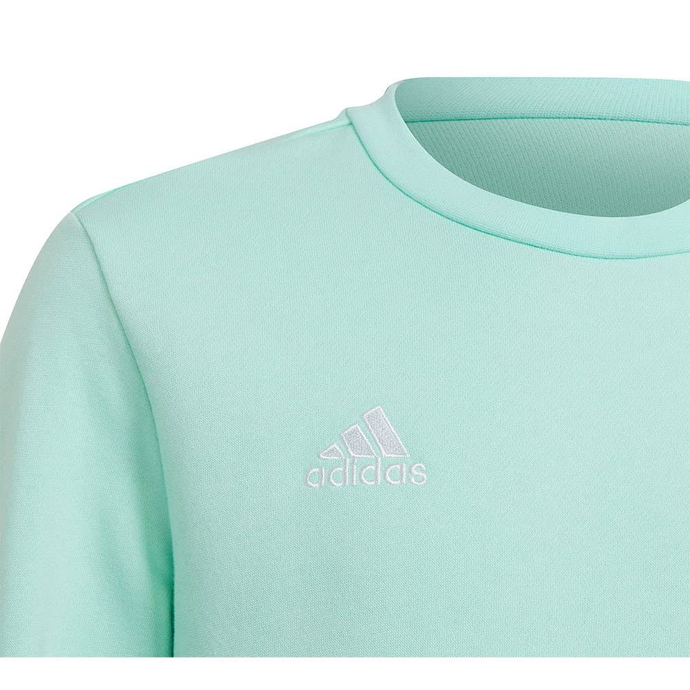 adidas Uniseks - dzieci Entrada 22 Sweat Top, Clear Mint, 11-12 Years