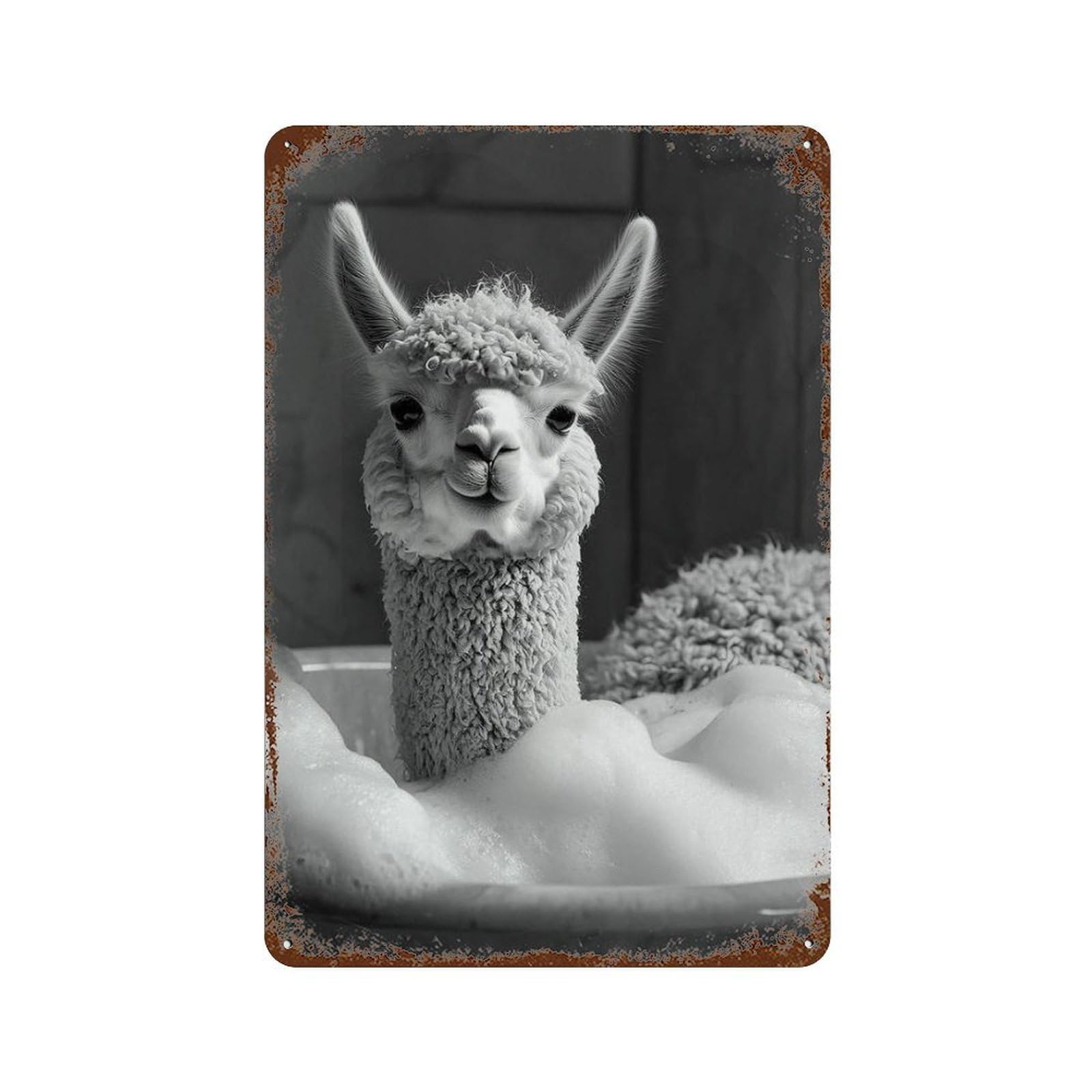 xiaoxiaoshen Llama Poster, Photography Prints Wall Decor Art Metal Tin Poster Modern Home Decor Art Home Bar Shop Decorations Vintage Sign 30x20cm