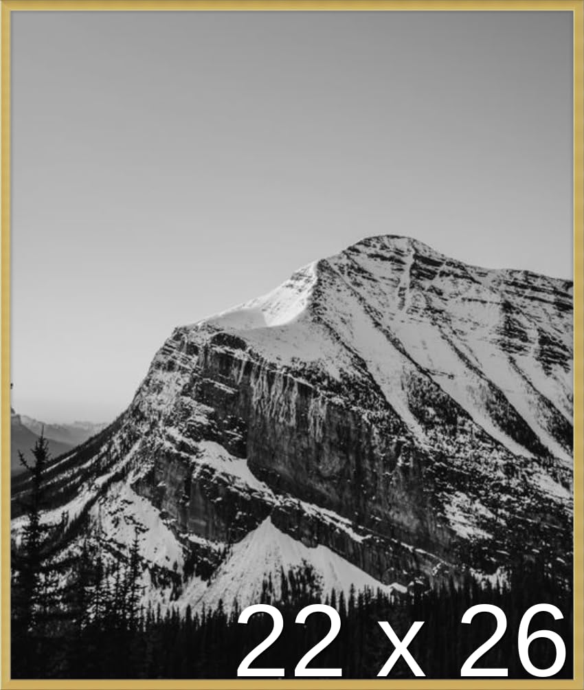 Frame It Easy 22 x 26 Gloss Gold Metal Frame (Ashford)