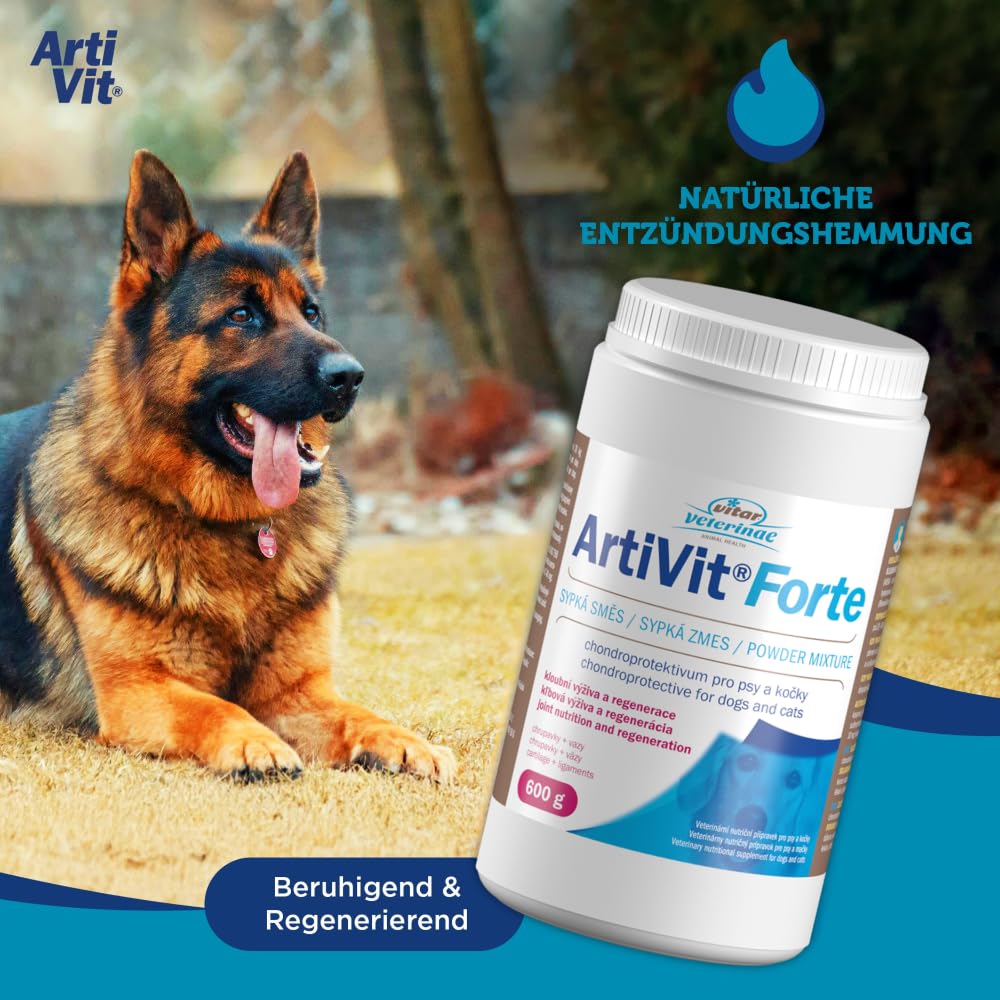 Artivit Forte Gelenk Pulver für Hunde & Katze - mit Glucosamin Chondroitin Hochdosiert und Vitamin C, Wirkstoffkomplex MSM & Hyaluron, gelenk- und knochenschutz, kollagen hund, gelenkschmerzen - 600 g