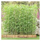 ZJKXJH Bambu Artificial Postes de Bambú Artificiales de 1,2 M, 1,5 M, 2,3 M Y 2,4 M de Altura con Hojas, Vegetación Artificial para Cercas de Privacidad(H-120cm (47 1/4'),10 Bamboo)