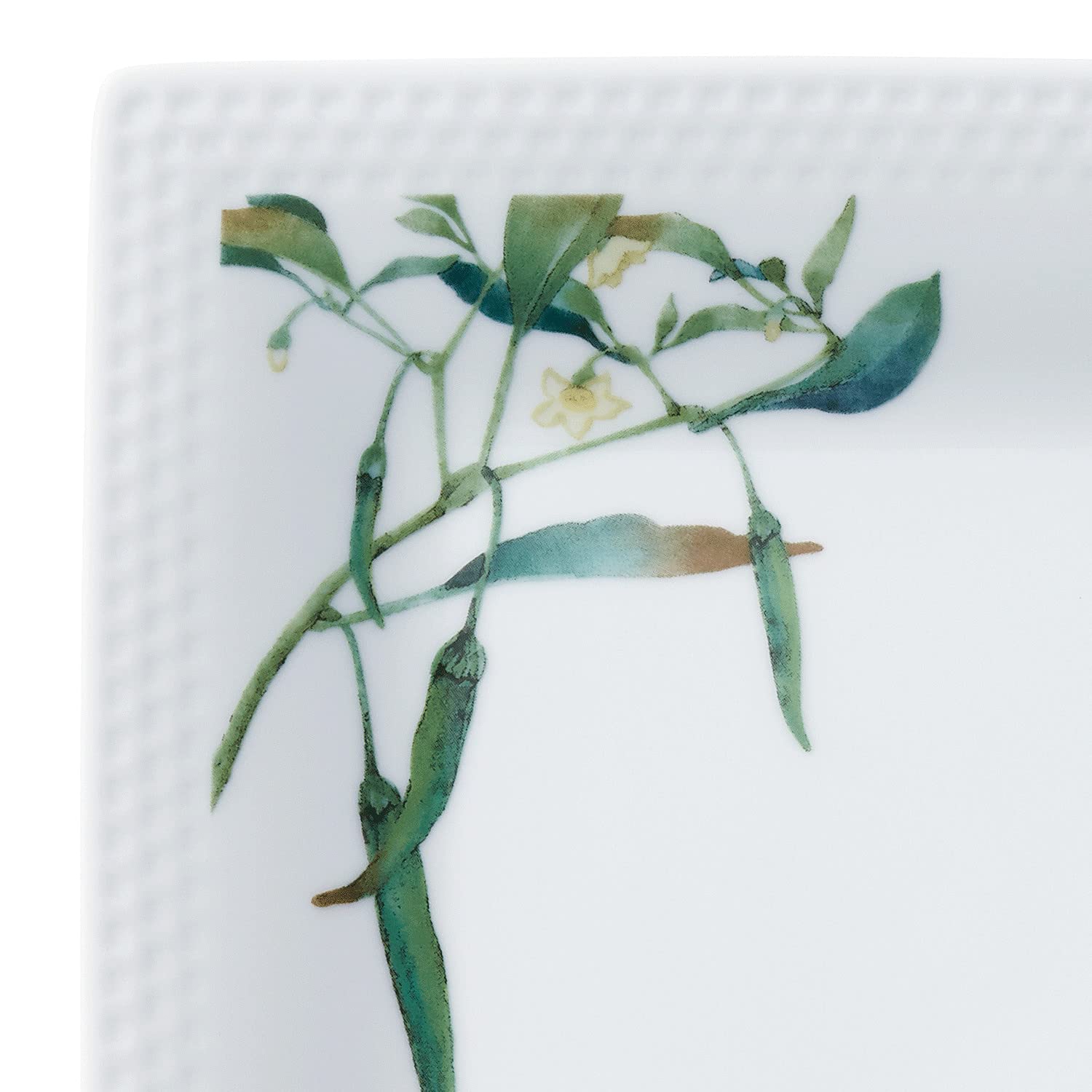 Amazon.co.jp: Noritake ノリタケ スクエア プレート 19cm 京香旬彩