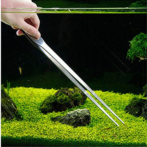 Image of Jumbo Size 27cm Stainless Steel Straight Tweezer /Clipper /Tong Scissor for Maintenance of Planted Aquarium or Reef Aquarium Tool Plier for Fish Tank
