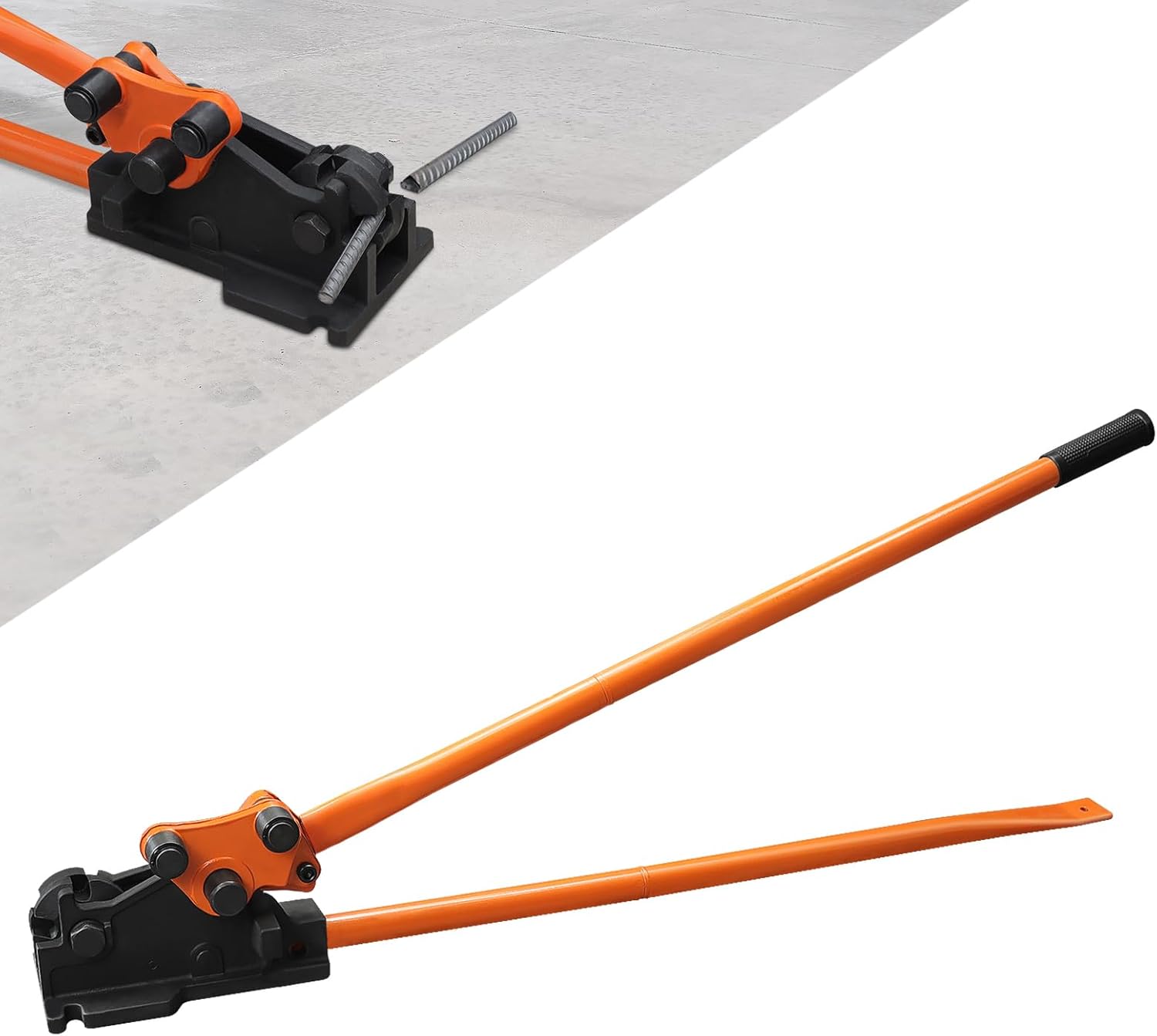 May The Odds Be Ever In Your Favor!