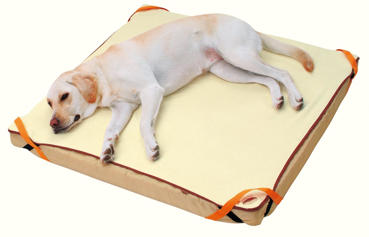 Amazon | ペティオ (Petio) ずっとね 床ずれ予防ベッド 大型犬用 大 