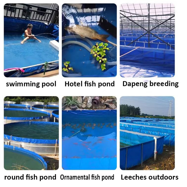 Réservoir d'eau d'extérieur pliable pour koïs et poissons rouges