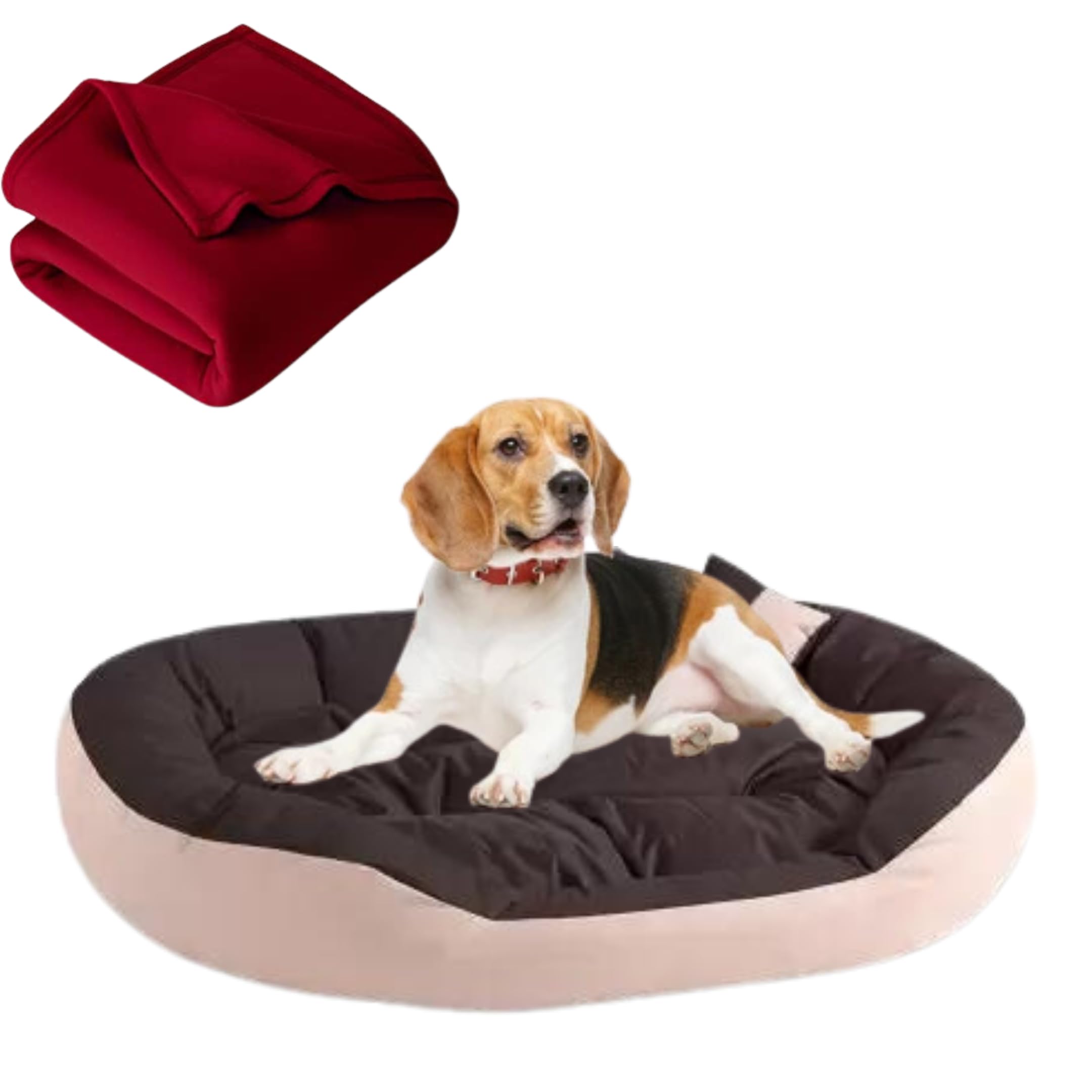 DRILLY Washable Dog/cat Bed with Blanket for Small | Medium | Large | Extra Large | XXL | 3XL | 4XL Size Dogs | Cats | Puppy | pet | Rabbit | Persian cat | Indoor cat (XXL) (B0C5HVQMY4) Amazon Price History, Amazon Price Tracker