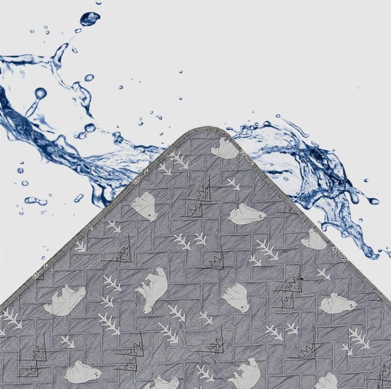 HanIl Polar Bear Electric Heating Mat Electric Warming Mattress Pad with Temperature Controller (Medium Size)