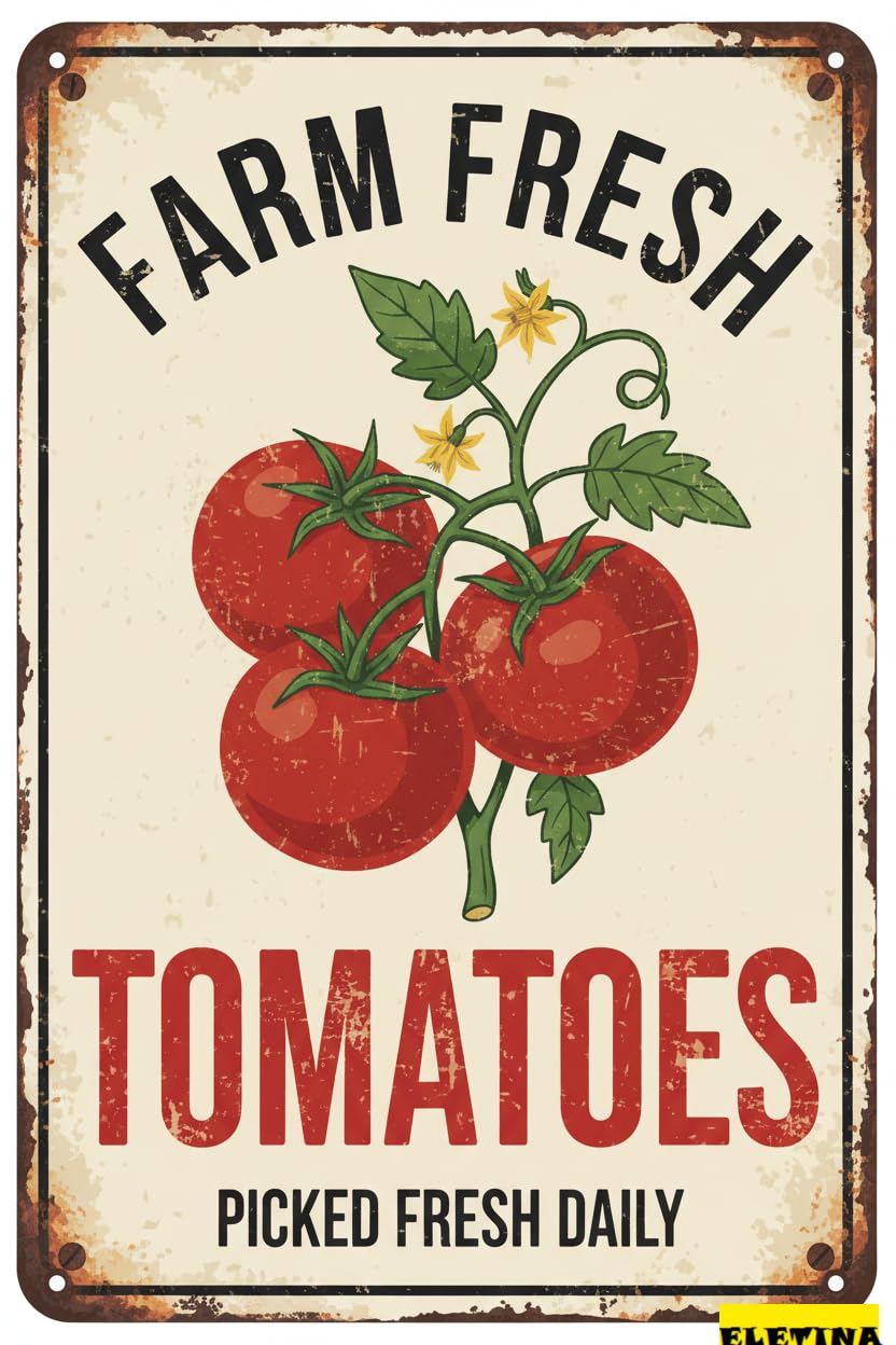 Vintage Metal Tin Sign Farm Fresh Tomatoes Picked Daily Wall Decoration 12x8 Inches House Room Cafe Bars Restaurants Pubs Decorative Private Property