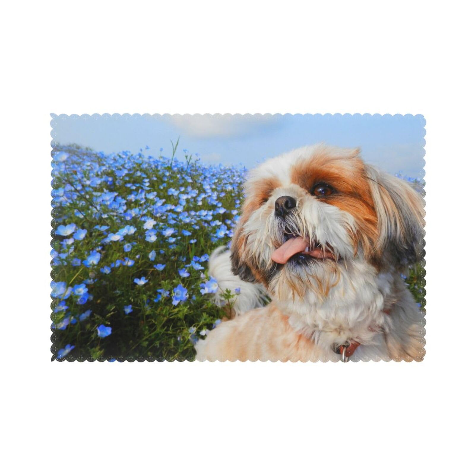 Set de table Shih Tzu lot de 6 antidérapant et résistant à la chaleur pour protéger vos meubles