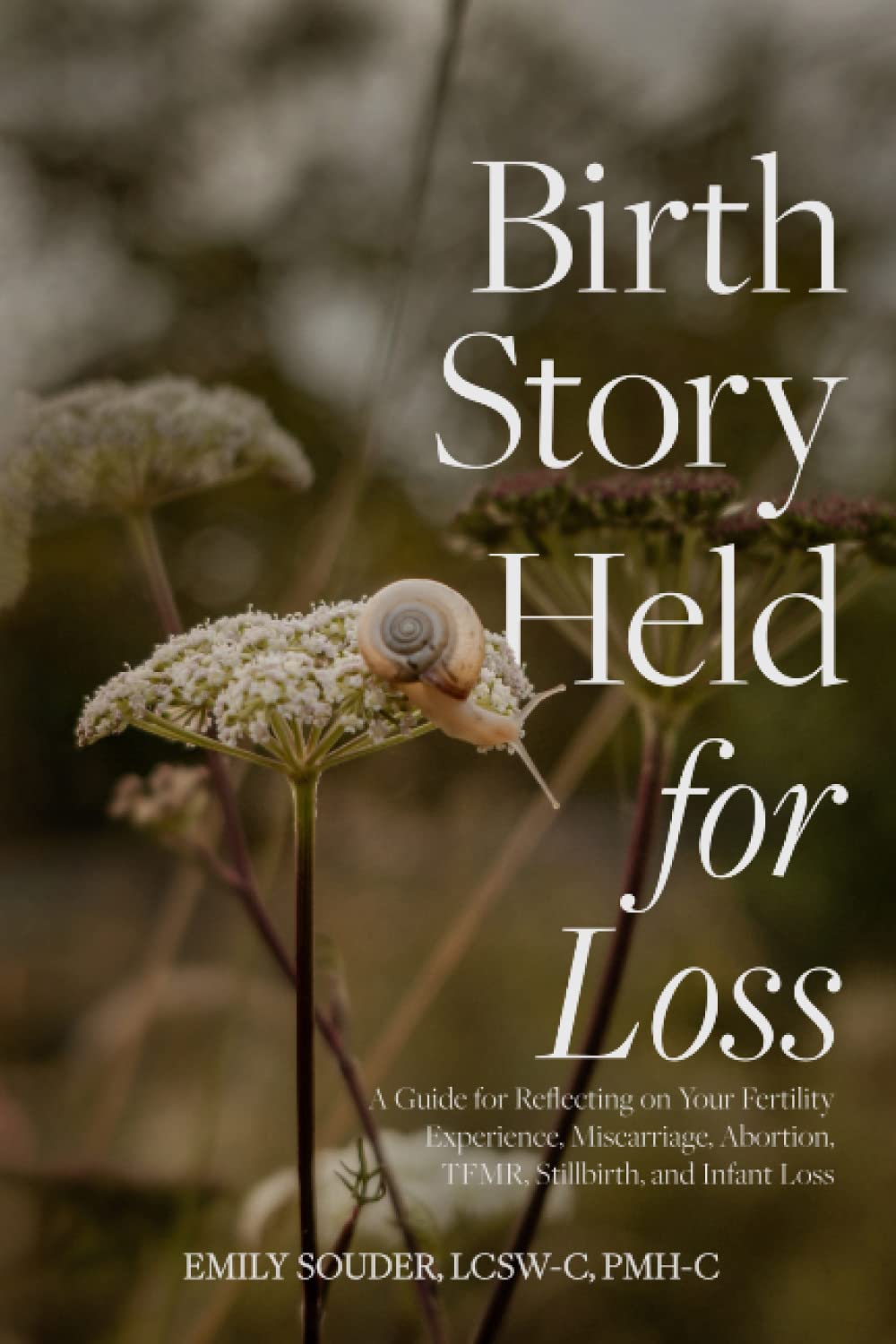 Birth Story Held for Loss: A Guide for Reflecting on Your Fertility Experience, Miscarriage, Abortion, TFMR, Stillbirth, and Infant Loss