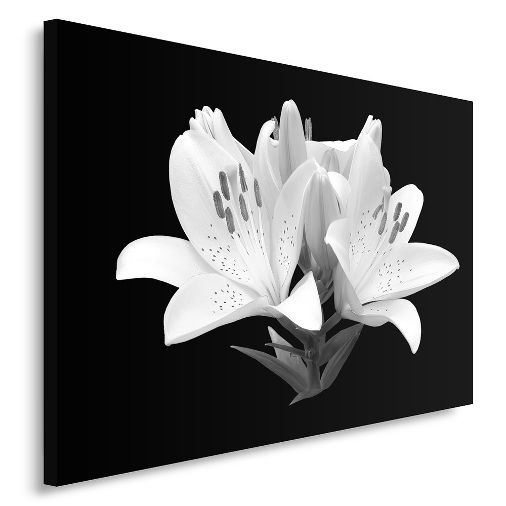 Tableaux fleurs lys 50x40 cm image moderne photo décoration murale Feeby