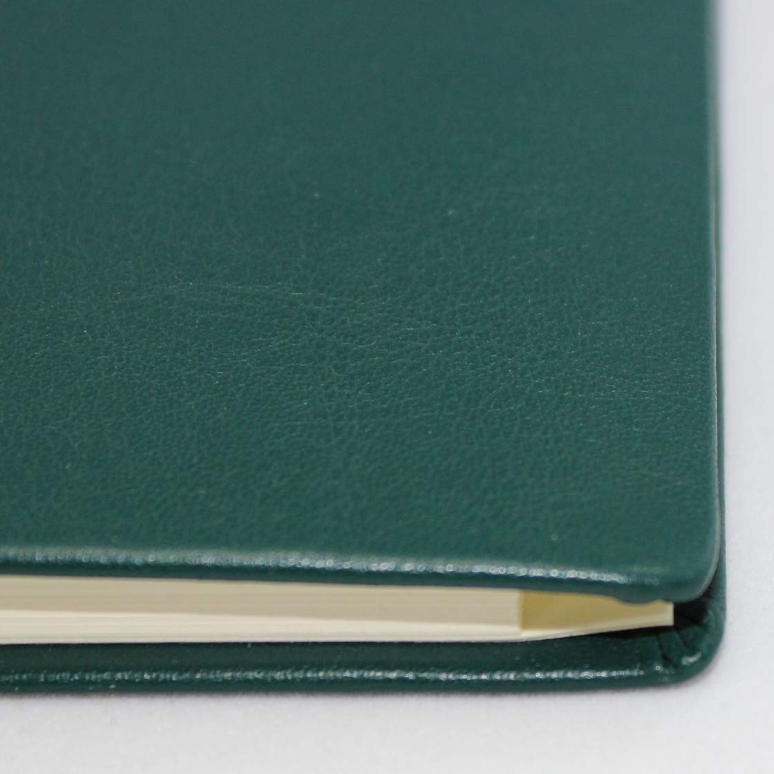 Carnet d'adresses vertical en cuir de différentes couleurs (vert sapin)