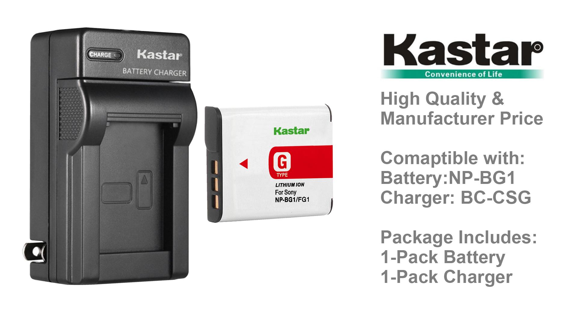 Amazon.com : Kastar Battery + Charger Replacement for Sony