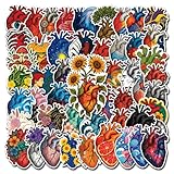 HIZILY 50 Pcs Anatomical Heart Stickers Human Organs Vinyl Decal Anatomy Artistic Sticker Laptop Water Bottle Notebook Journal Tablet Phone Helmet Bike Cabinet Locker Gifts for Nurses Students