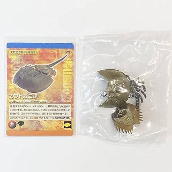 ま*す様 週刊日本の天然記念物動物編全50巻専用バインダー立体動物模型全て揃って Amazon | 未開封 週刊 日本の天然記念物 動物編 34 カブトガニ