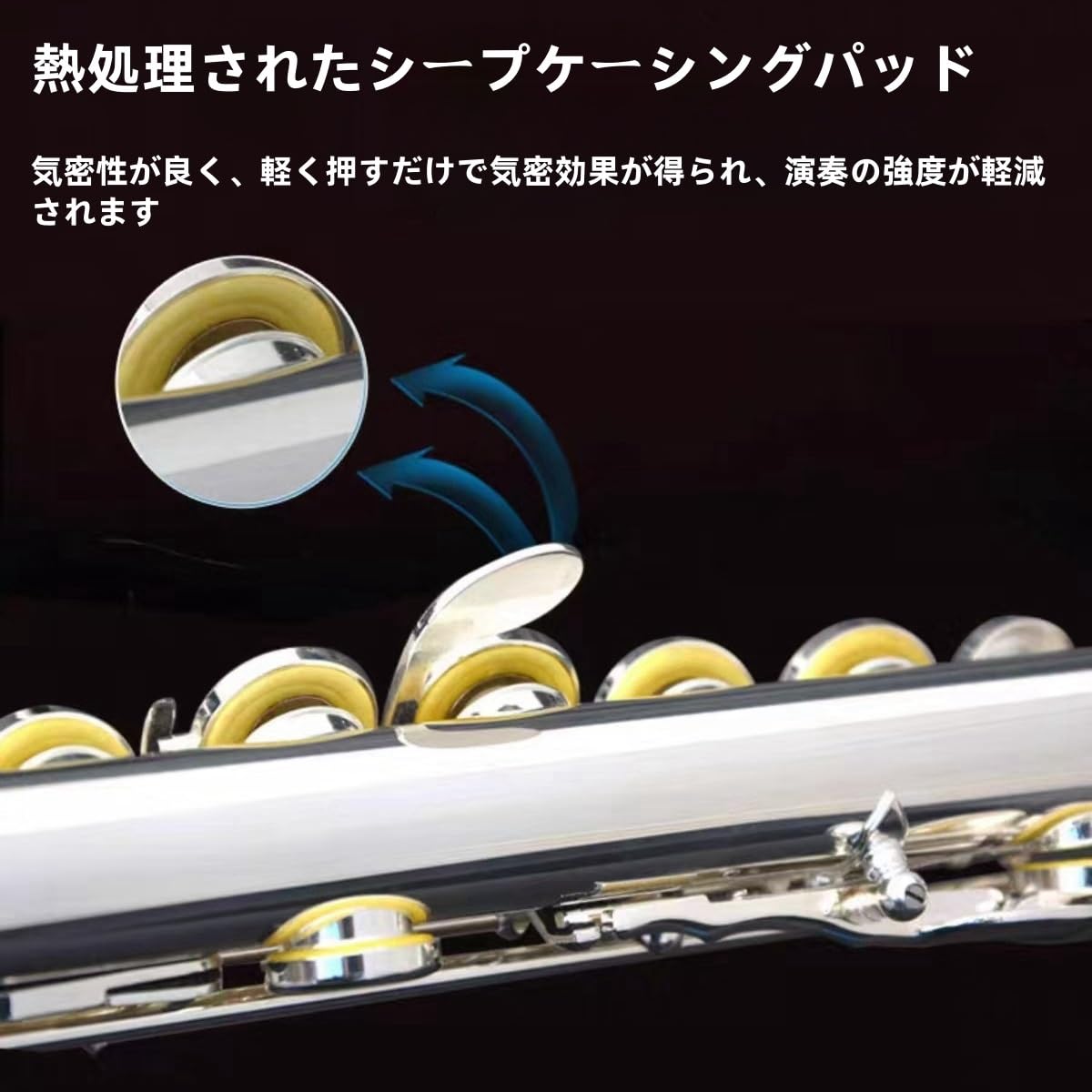 Amazon.co.jp: Poecuoa フルート 初心者向け 16穴 Cキー 白銅製 管楽器