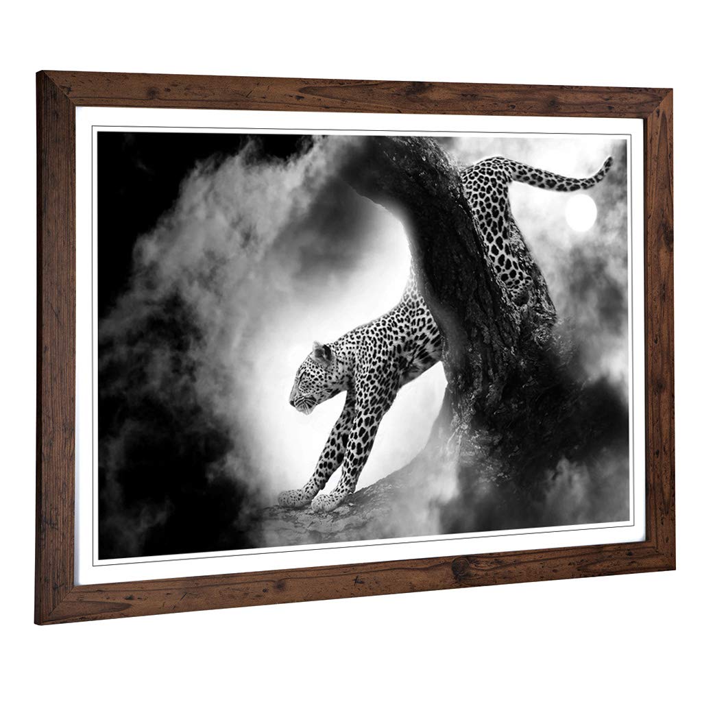 Big Box Art Framed Print of Leopard Design | Wall Art Picture | Home Decor for Kitchen, Living, Dining Room, Lounge, Bedroom, Hallway, Office, Walnut, A2 / 24.5x18 Inch / 62x45cm