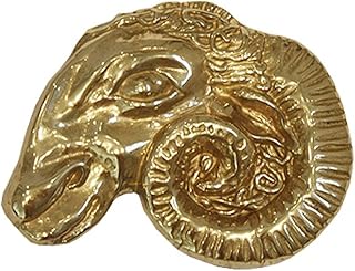 Hebilla para cinturón, diseño de Widder, color dorado