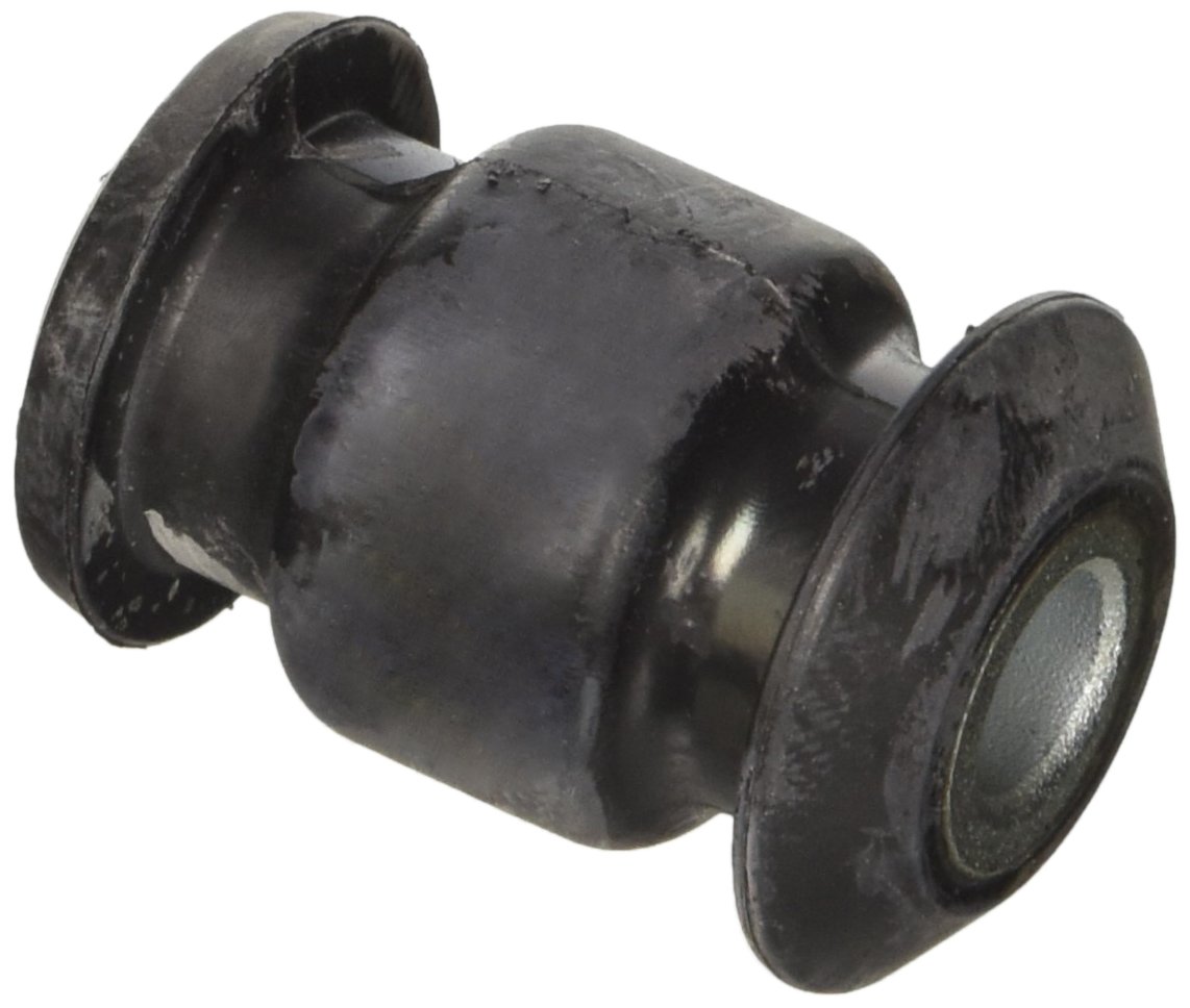 FraP (Biology) SB12156 Silent Block