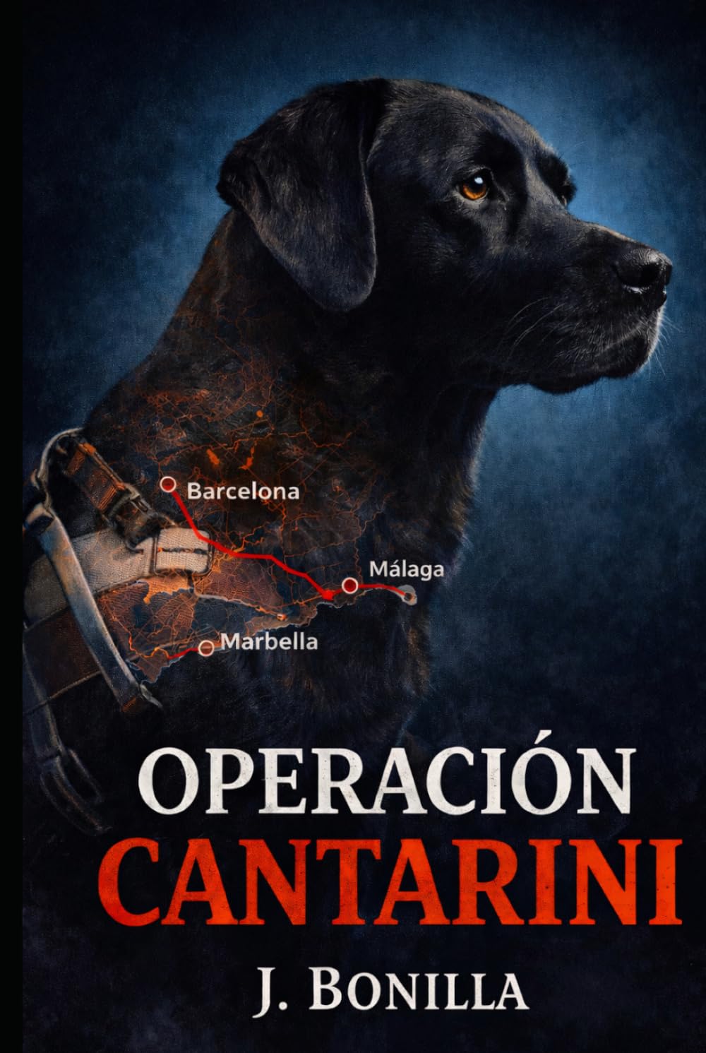 Operación Cantarini