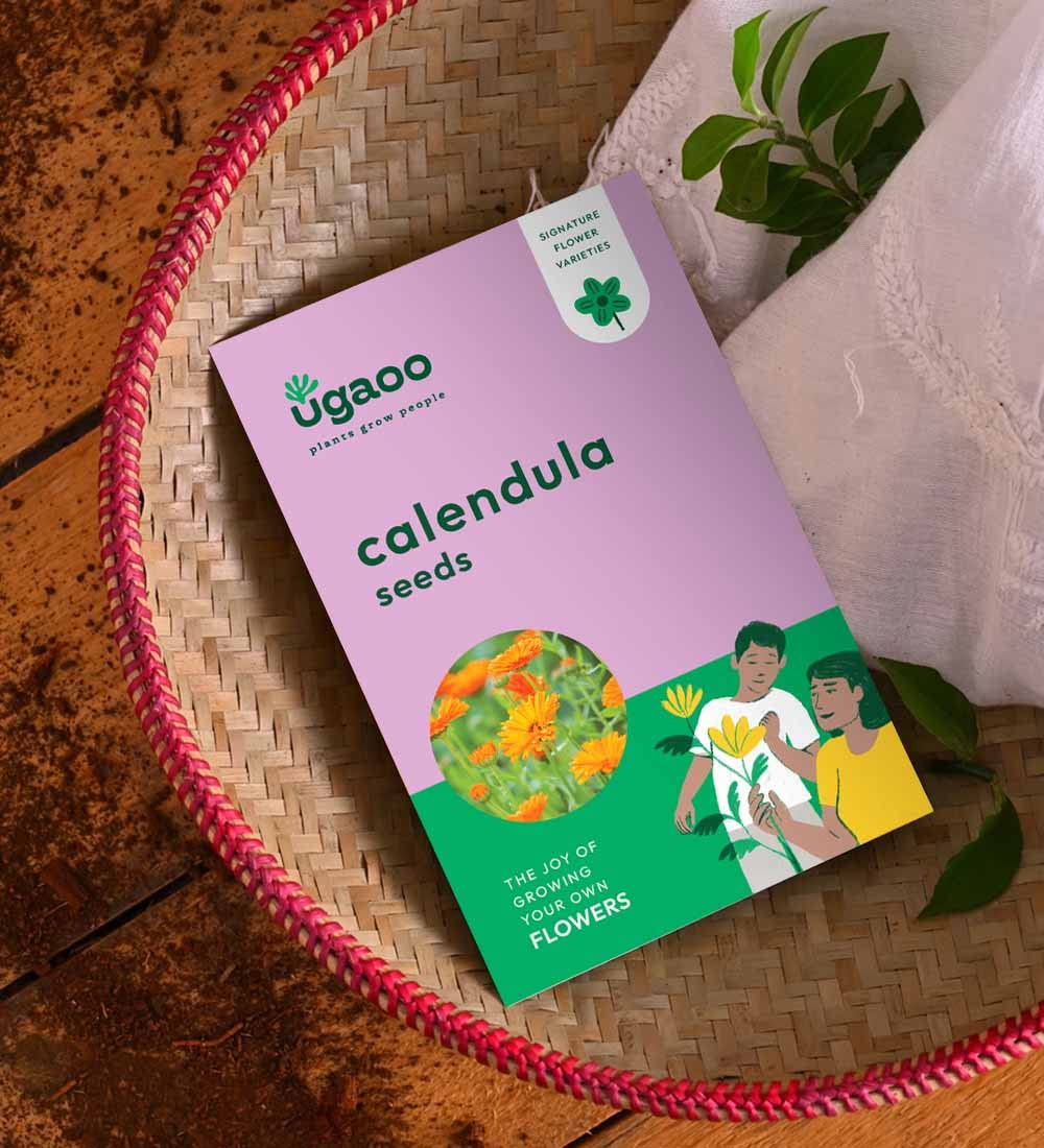 See full amazon price history chart for UGAOO Calendula Flower Seeds (Orange, Pack of 100) UGAOO Calendula Flower Seeds (Orange, Pack of 100) (B09MLPFQTX) Amazon Price History, Amazon Price Tracker