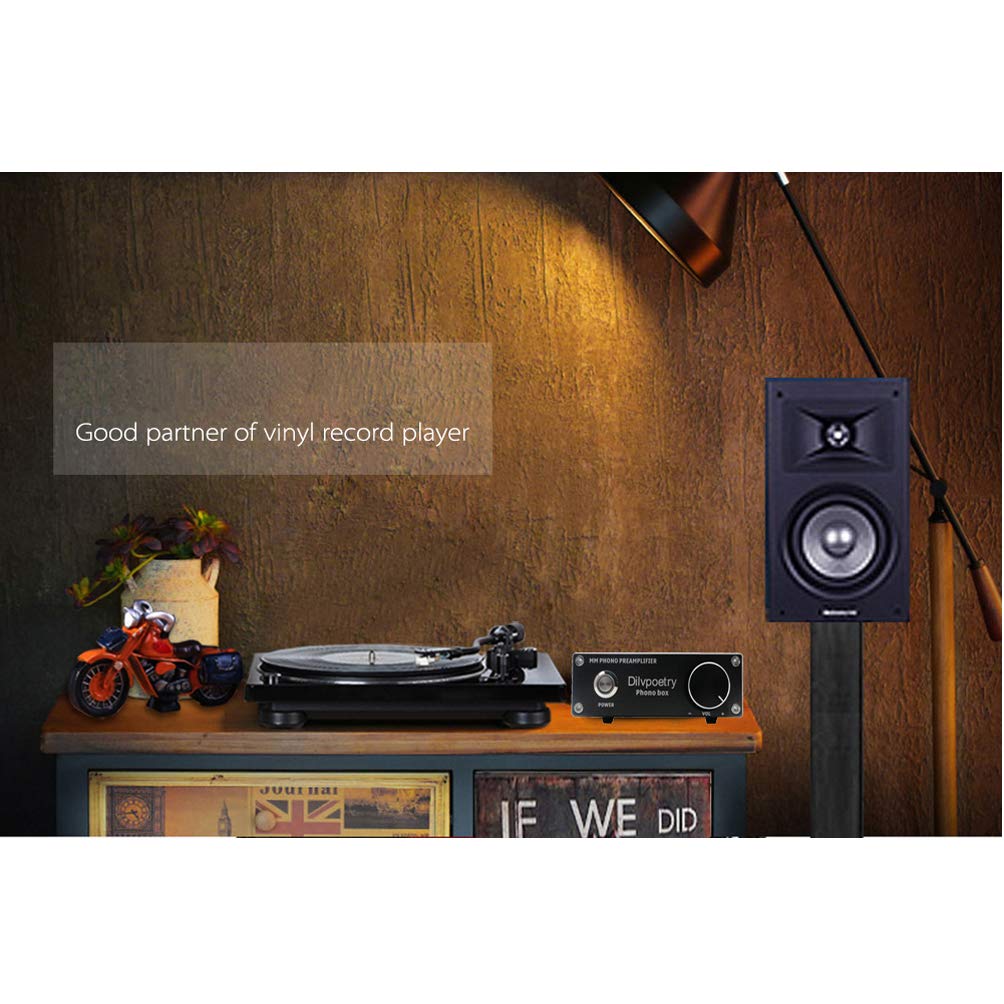 Dilvpoetry Phono Box MM Phono préampli pour Platine Vinyle préamplificateur Audio phonographe préampli Phono amplificateur Mini amp(Argent)