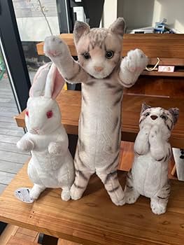 Amazon.co.jp: ぬいぐるみ たっちぃZoo にゃんこ5 お願い