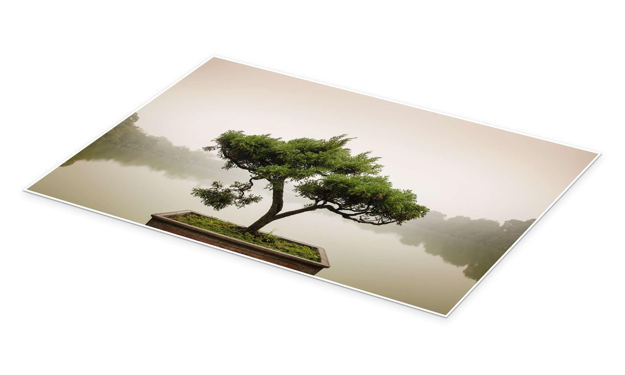 Drzewko bonsai w ogrodzie Zen Plakat