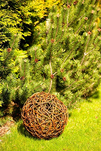 Floranica® Palla in Vimini Palla Decorativa in